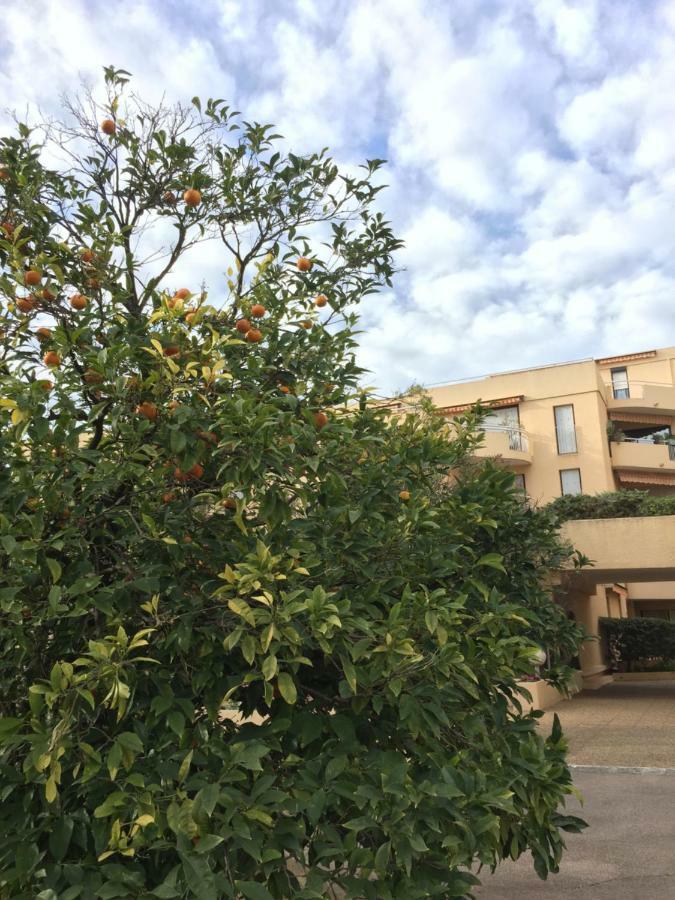 Saint-Raphaël Les Orangers 아파트 외부 사진